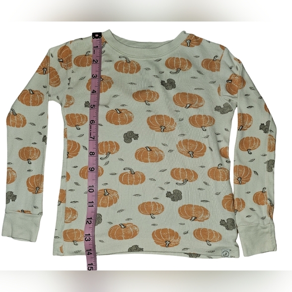 Little Planet by Carter's Boy Girl Organic Cotton PJs 2pc Harvest Pumpkins Sz 3T - Picture 11 of 16